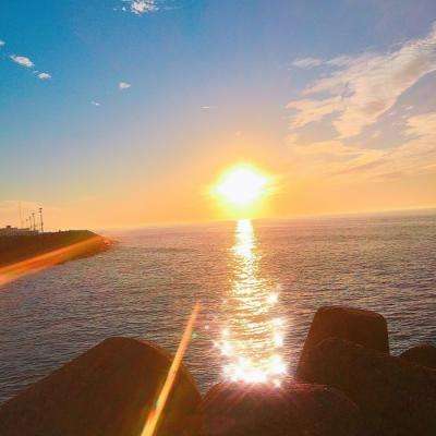 海星体育app下载截图