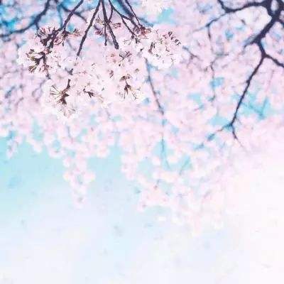 必博app下载地址