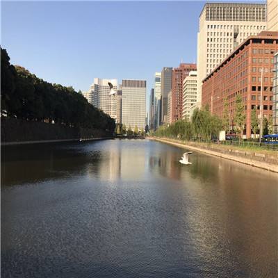 爱游戏全站APP下载截图