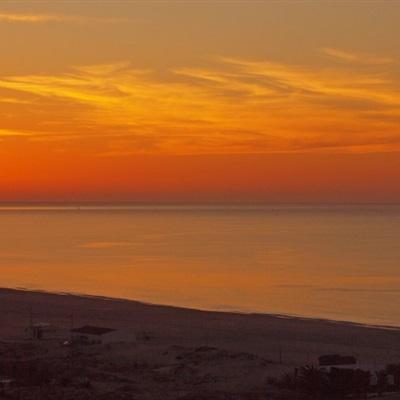 bob体体育app下载